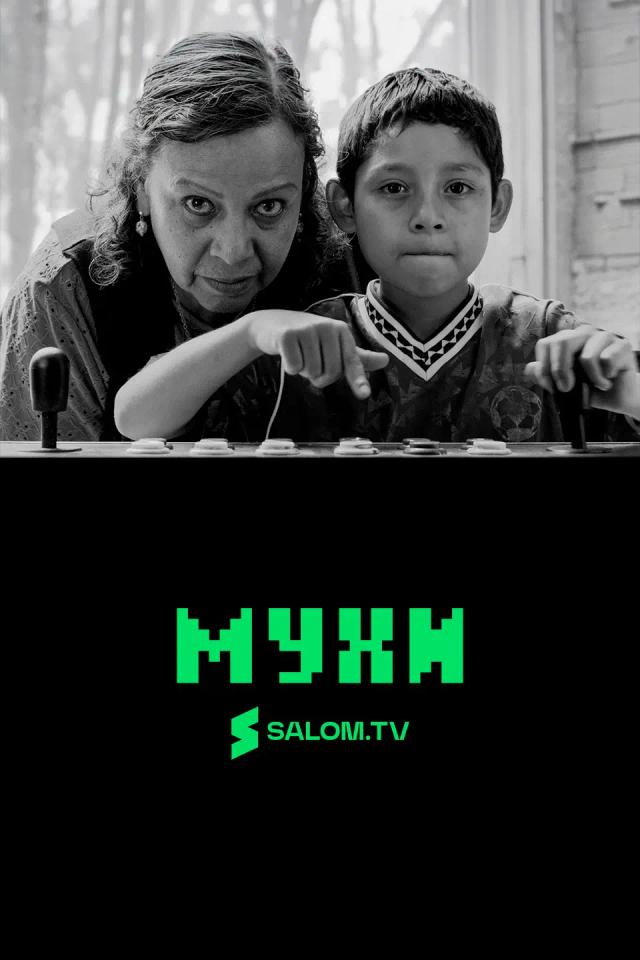 Мухи