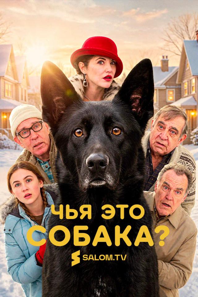 Чья это собака?