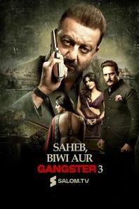 Saheb Biwi Aur Gangster 3
