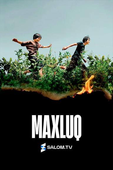 Maxluq