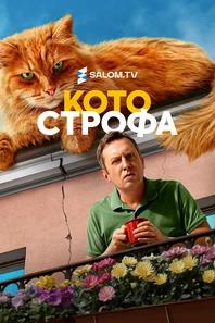 Котострофа