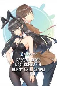 Rascal Does Not Dream of Bunny Girl Senpai