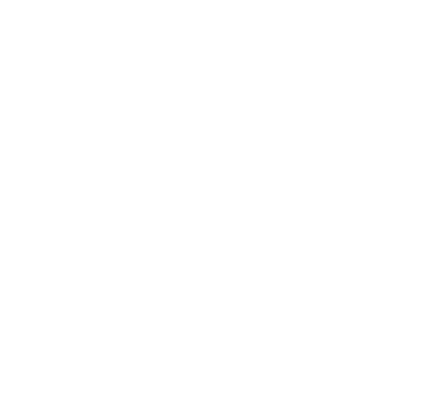 МИР