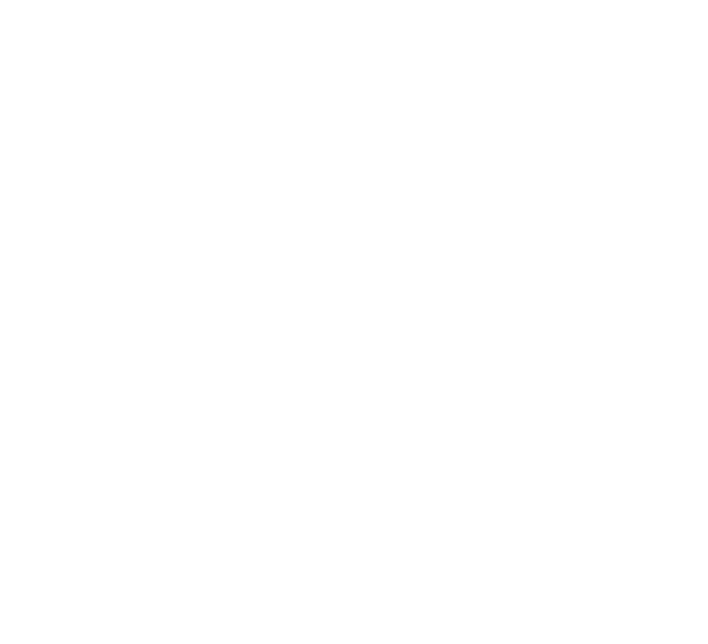 365 Дней