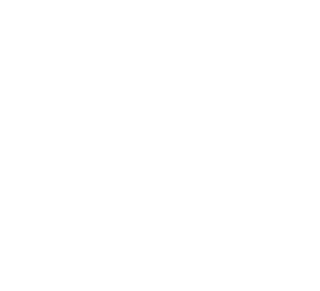 AL JAZEERA