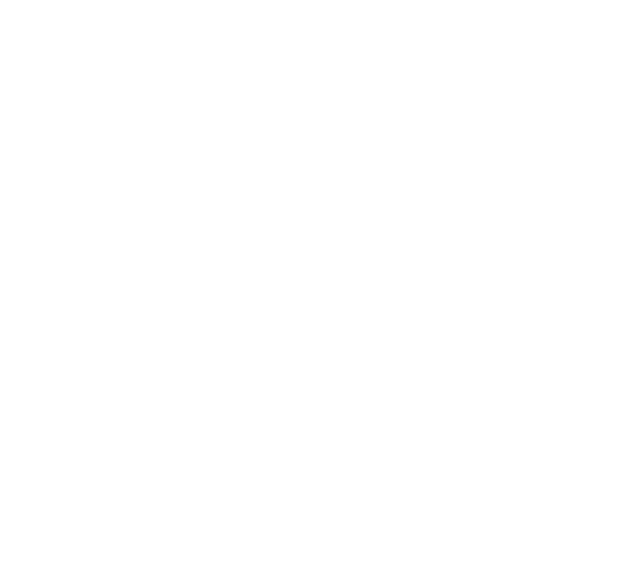 Наше новое кино