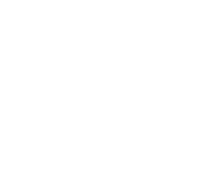 МИР 24