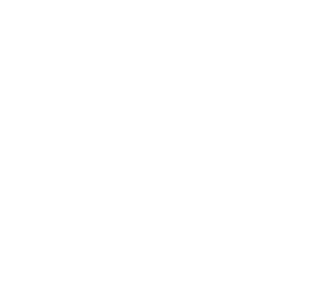 ViP Premiere