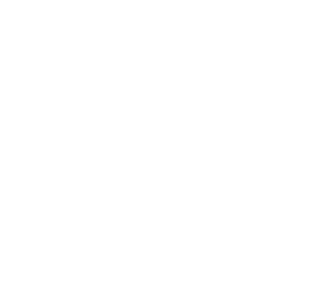 ЗВЕЗДА