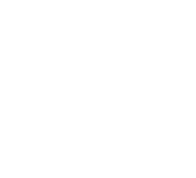 Biz Music