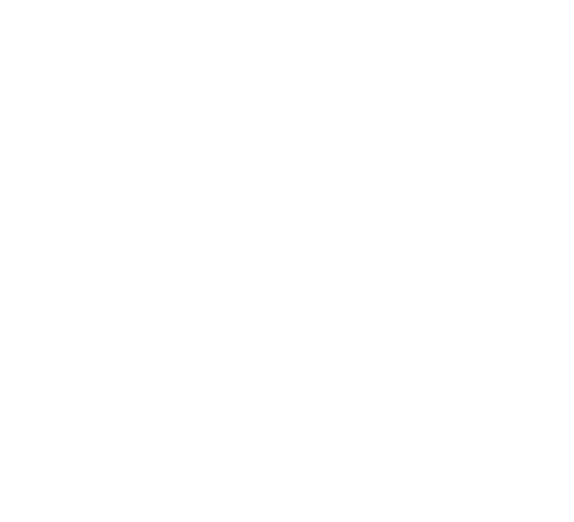Россия 1 (Ru)