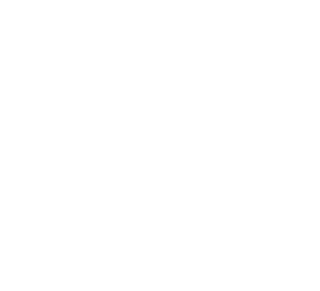 Т24