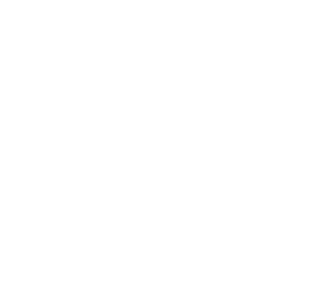 Россия 24 (Ru)