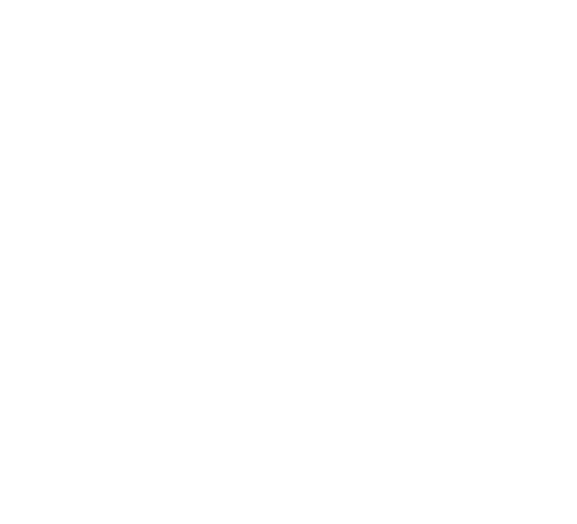 TV 1000 ACTION