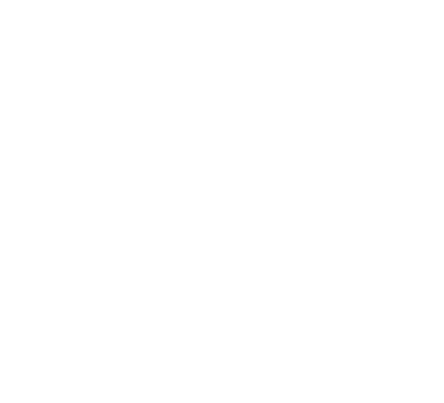 BizTV