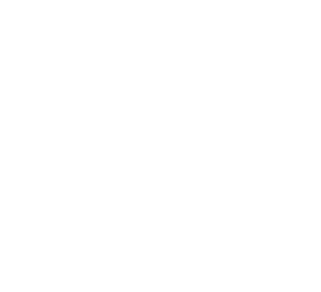 FRANCE 24