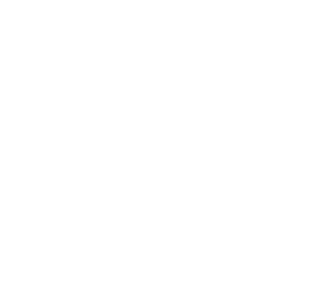 Biz Cinema